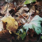 Reversal to Underside