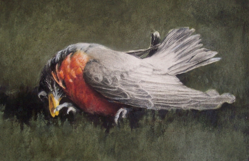 Migratorius Undiscover'd